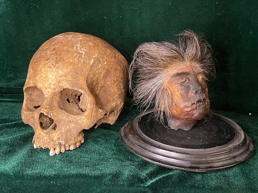 Shrunken Heads: The Macabre Art of Tsantsa