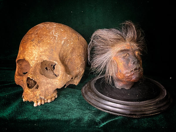 Human shrunken head