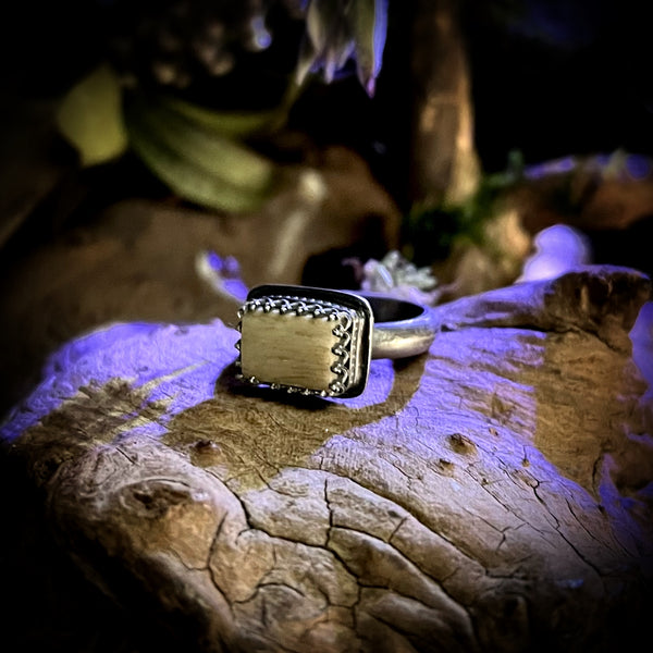 Sterling silver and human femur ring (made to order)