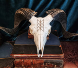 Ram skull with web of wyrd