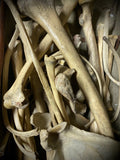 Human bone mystery package