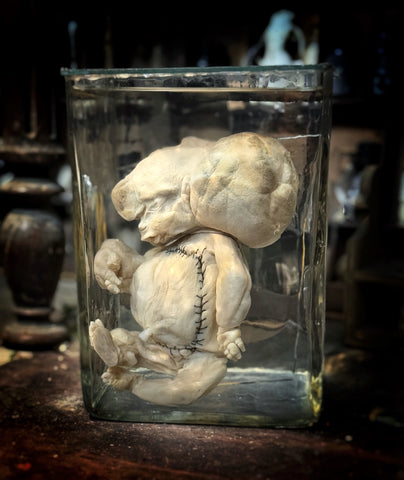 Wet specimens