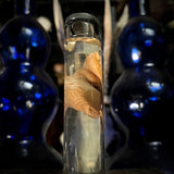 Medically preserved human penis