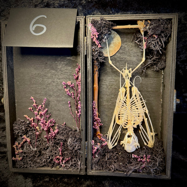 Item 6. Bat skeleton box