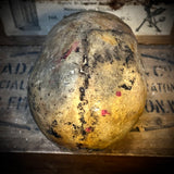 Human skull