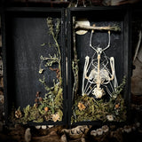 Small Fruit Bat Skeleton - Curio Box