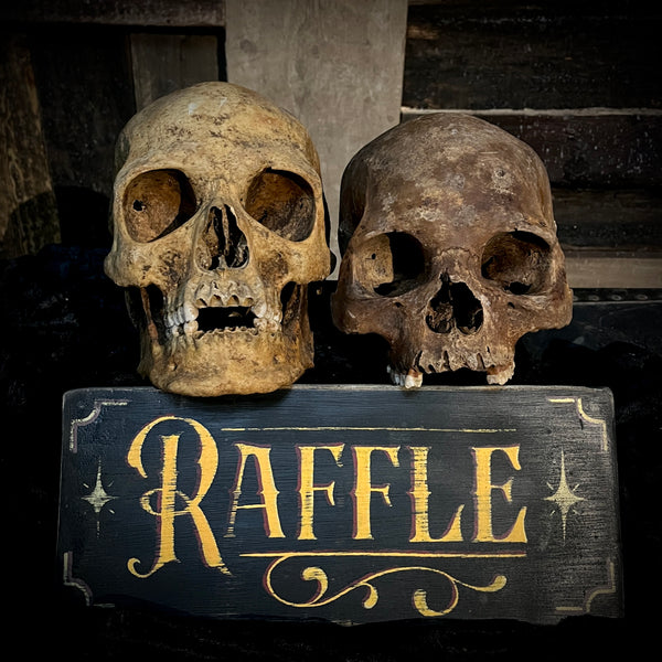 Human skull raffle