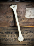 Human humerus bone
