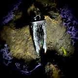 Silver talon vivianite pendant
