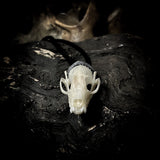 Bat skull pendant