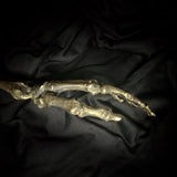 Human Arm - Brass cast