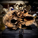 Human skull
