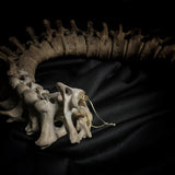 Articulated human spine