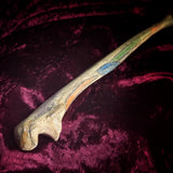 Adam Rouilly Human ulna