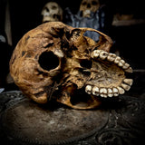 Human skull *COMPETITION*