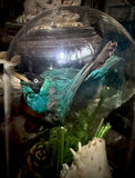 Taxidermy Green Honeycreeper