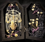 Fruit bat skeleton mini coffin