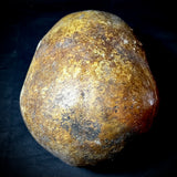 Item 18. Human skull