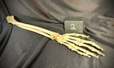 Item 2. Articulated human