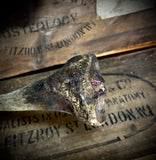 Human tibia (shinbone)