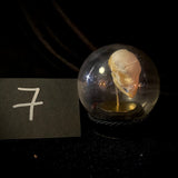 Item 7. Puppy skull dome