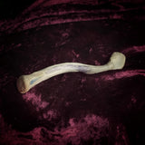 Adam Rouilly Human left clavicle