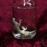 Wet Specimen “Leopard Gecko”