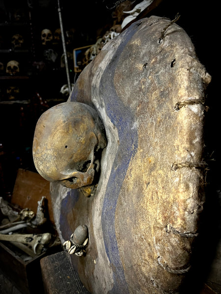 African tribal human skull on a shield
