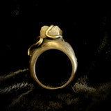 Human tooth bronze ring