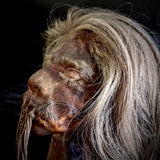 Shrunken head