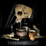 Partial human skull on stand