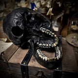 Brass tooth skull
