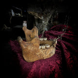 A mandible
