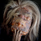 Shrunken head