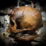 Human skull *COMPETITION*