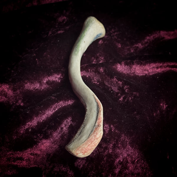 Adam Rouilly Human left clavicle