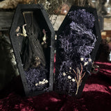 Taxidermy Fruit Bat - Mini Curio Coffin
