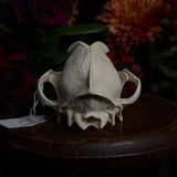 Dog Skull - A Male “Corgi”