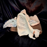 Item 4. Human bone lot