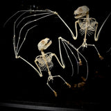 Dancing bats