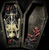 Fruit bat skeleton mini coffin
