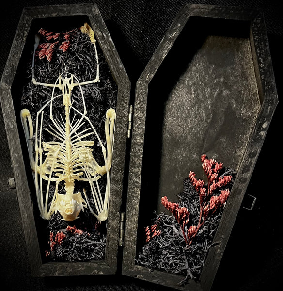 Fruit bat skeleton mini coffin