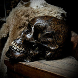 Human skull with mandible