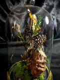 Item 9. Butterly dome