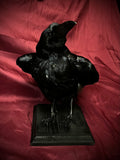 Taxidermy crow
