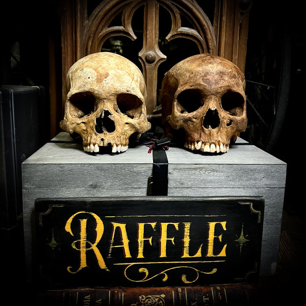 Human skull OR Mystery box Raffle tickets