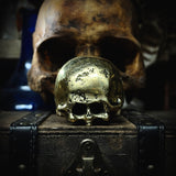 Custom made brass cast skull