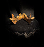 A mandible