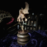 Human maxilla on stand