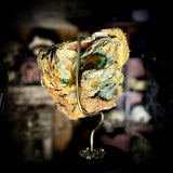 A mummified partial human face